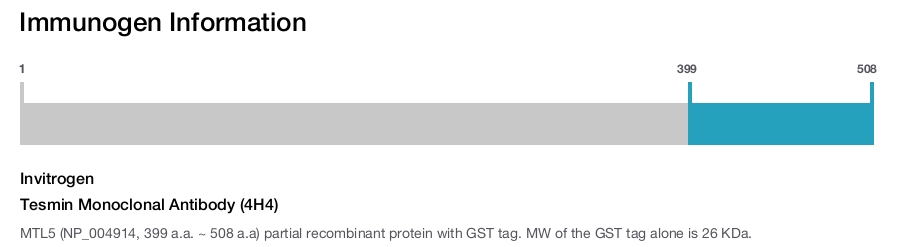 Tesmin Monoclonal Antibody (4H4)