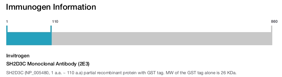 SH2D3C Monoclonal Antibody (2E3)