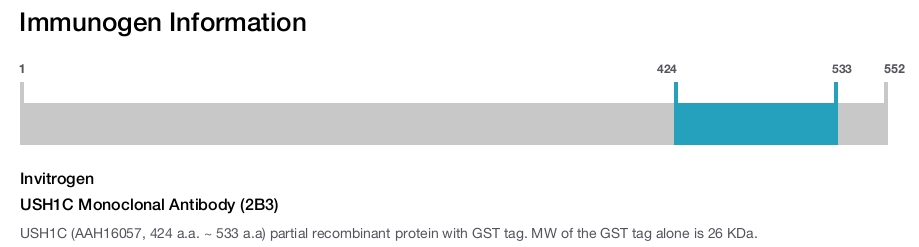 USH1C Monoclonal Antibody (2B3)