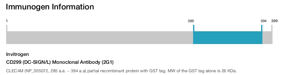 CD299 (DC-SIGN/L) Monoclonal Antibody (2G1)