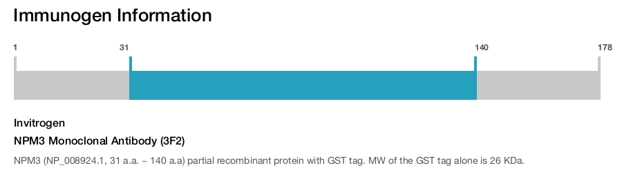 NPM3 Monoclonal Antibody (3F2)
