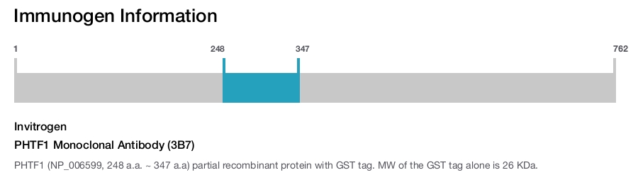 PHTF1 Monoclonal Antibody (3B7)