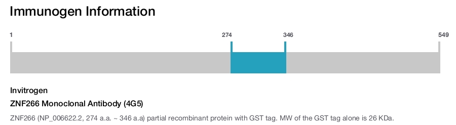 ZNF266 Monoclonal Antibody (4G5)