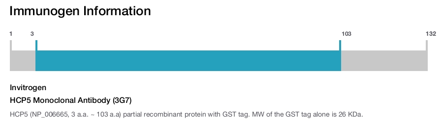 HCP5 Monoclonal Antibody (3G7)