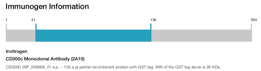 CD300c Monoclonal Antibody (2A10)