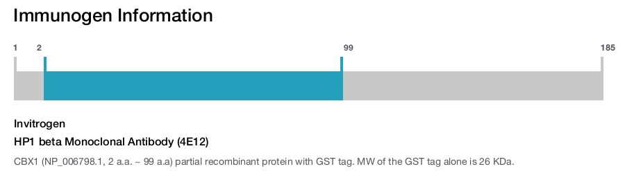 HP1 beta Monoclonal Antibody (4E12)