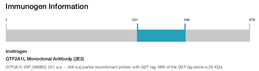 GTF2A1L Monoclonal Antibody (2E3)