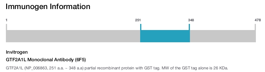 GTF2A1L Monoclonal Antibody (6F5)