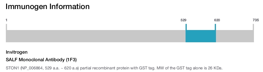 SALF Monoclonal Antibody (1F3)