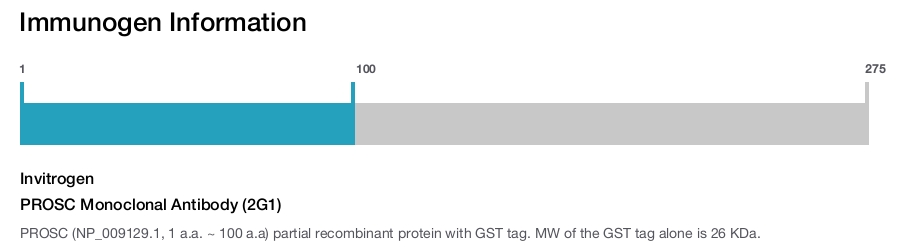 PROSC Monoclonal Antibody (2G1)
