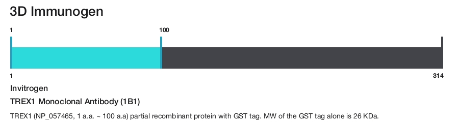 TREX1 Monoclonal Antibody (1B1)