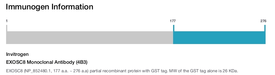 EXOSC8 Monoclonal Antibody (4B3)