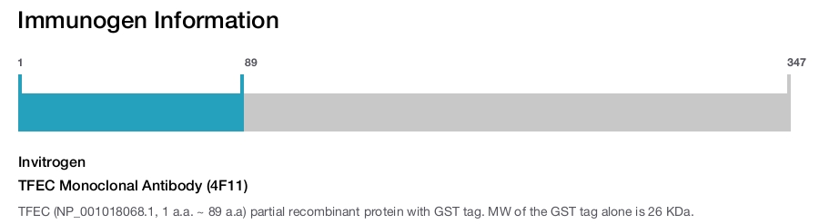 TFEC Monoclonal Antibody (4F11)