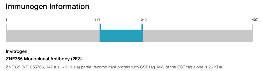 ZNF365 Monoclonal Antibody (2E3)