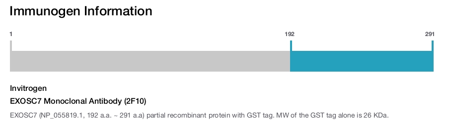 EXOSC7 Monoclonal Antibody (2F10)