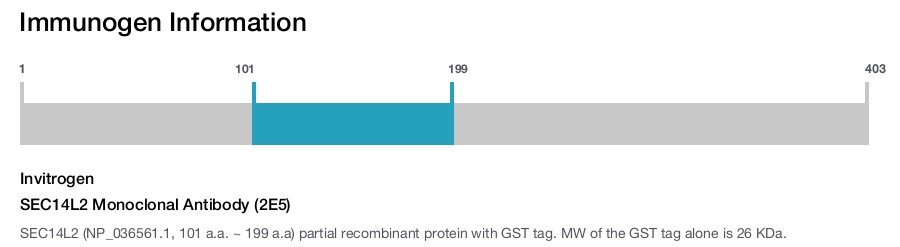SEC14L2 Monoclonal Antibody (2E5)