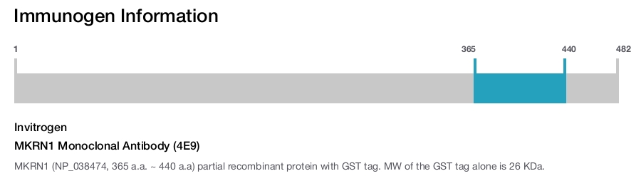 MKRN1 Monoclonal Antibody (4E9)