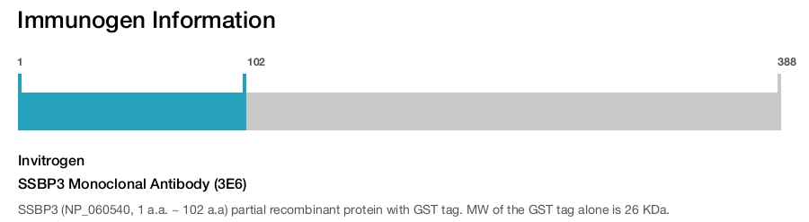SSBP3 Monoclonal Antibody (3E6)