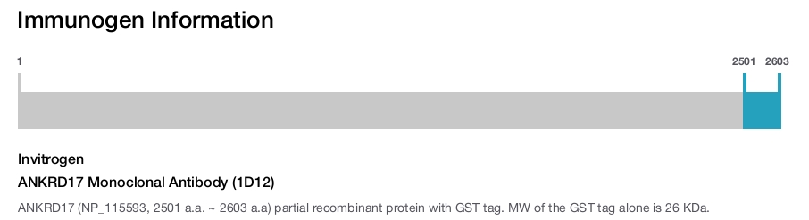 ANKRD17 Monoclonal Antibody (1D12)