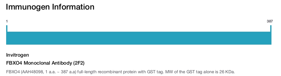 FBXO4 Monoclonal Antibody (2F2)