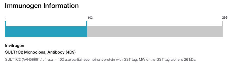 SULT1C2 Monoclonal Antibody (4D9)