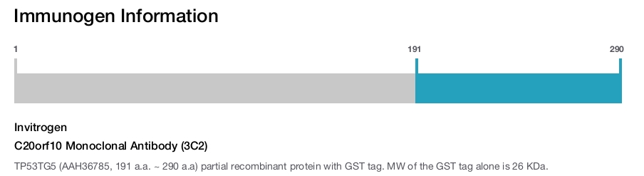C20orf10 Monoclonal Antibody (3C2)