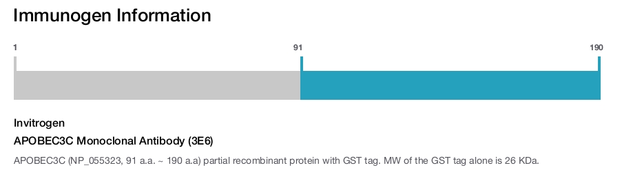 APOBEC3C Monoclonal Antibody (3E6)