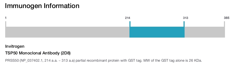 TSP50 Monoclonal Antibody (2D8)
