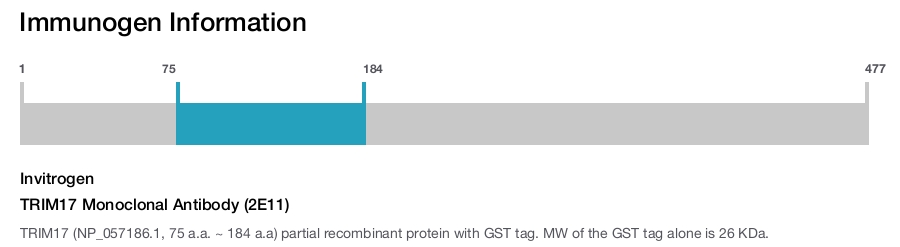 TRIM17 Monoclonal Antibody (2E11)