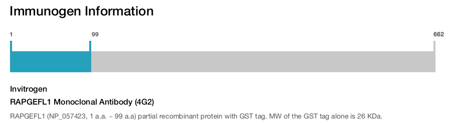 RAPGEFL1 Monoclonal Antibody (4G2)