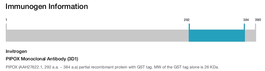 PIPOX Monoclonal Antibody (3D1)