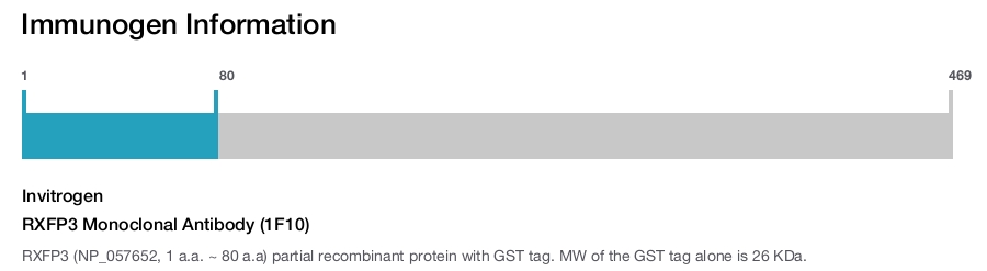 RXFP3 Monoclonal Antibody (1F10)