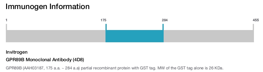 GPR89B Monoclonal Antibody (4D8)