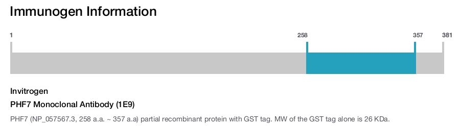 PHF7 Monoclonal Antibody (1E9)