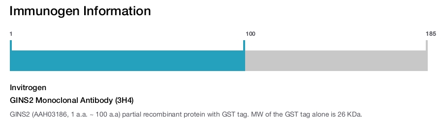 GINS2 Monoclonal Antibody (3H4)