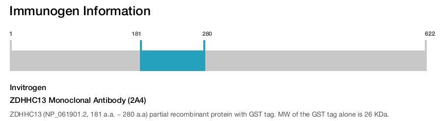 ZDHHC13 Monoclonal Antibody (2A4)