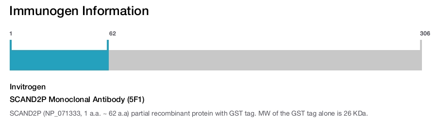 SCAND2P Monoclonal Antibody (5F1)