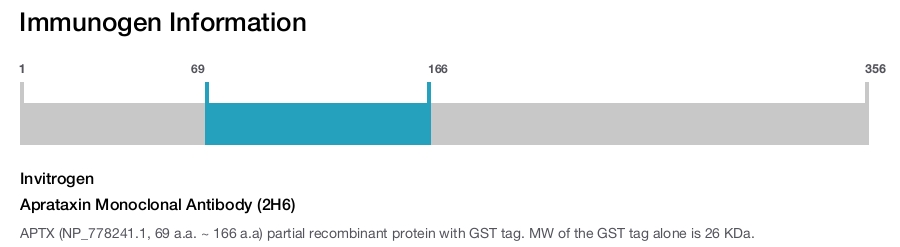 Aprataxin Monoclonal Antibody (2H6)