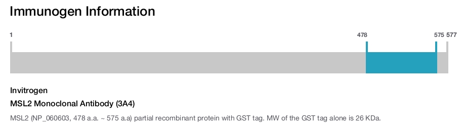 MSL2 Monoclonal Antibody (3A4)