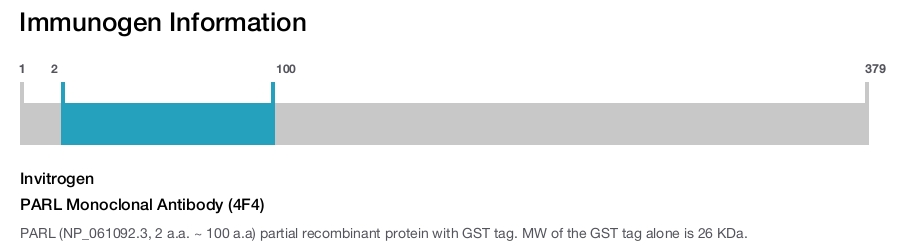 PARL Monoclonal Antibody (4F4)