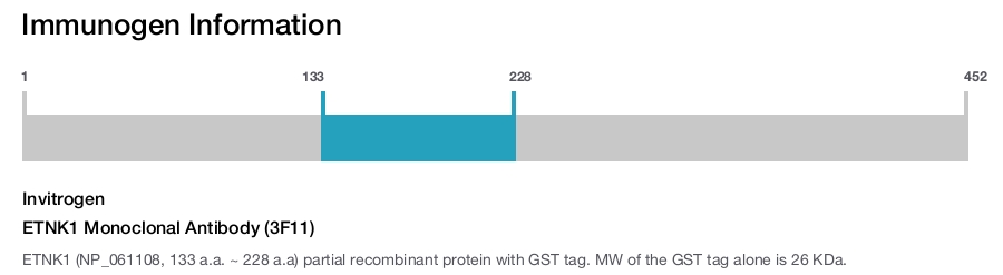 ETNK1 Monoclonal Antibody (3F11)