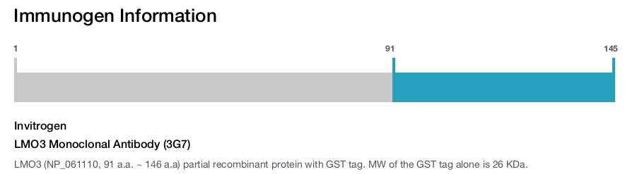 LMO3 Monoclonal Antibody (3G7)