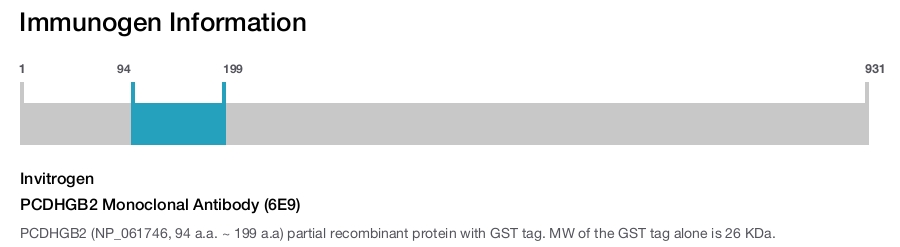 PCDHGB2 Monoclonal Antibody (6E9)