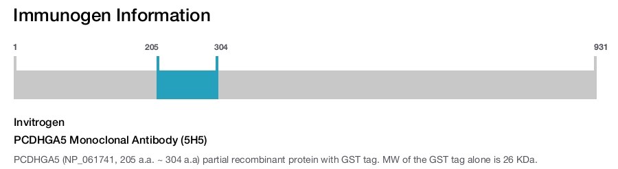 PCDHGA5 Monoclonal Antibody (5H5)