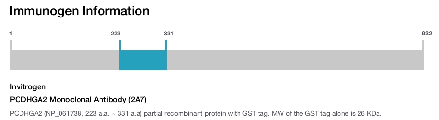 PCDHGA2 Monoclonal Antibody (2A7)