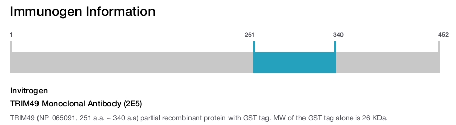 TRIM49 Monoclonal Antibody (2E5)