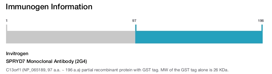 SPRYD7 Monoclonal Antibody (2G4)