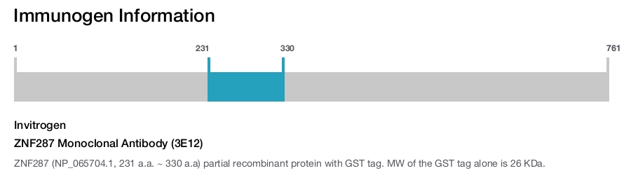 ZNF287 Monoclonal Antibody (3E12)