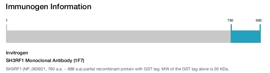 SH3RF1 Monoclonal Antibody (1F7)