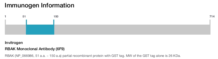 RBAK Monoclonal Antibody (6F9)